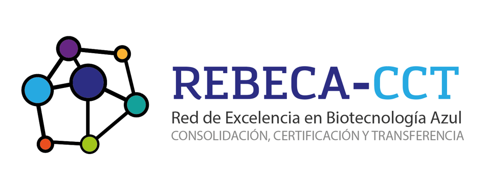CC944 REBECA-CCT