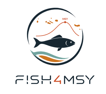 FISH4MSY CC1381